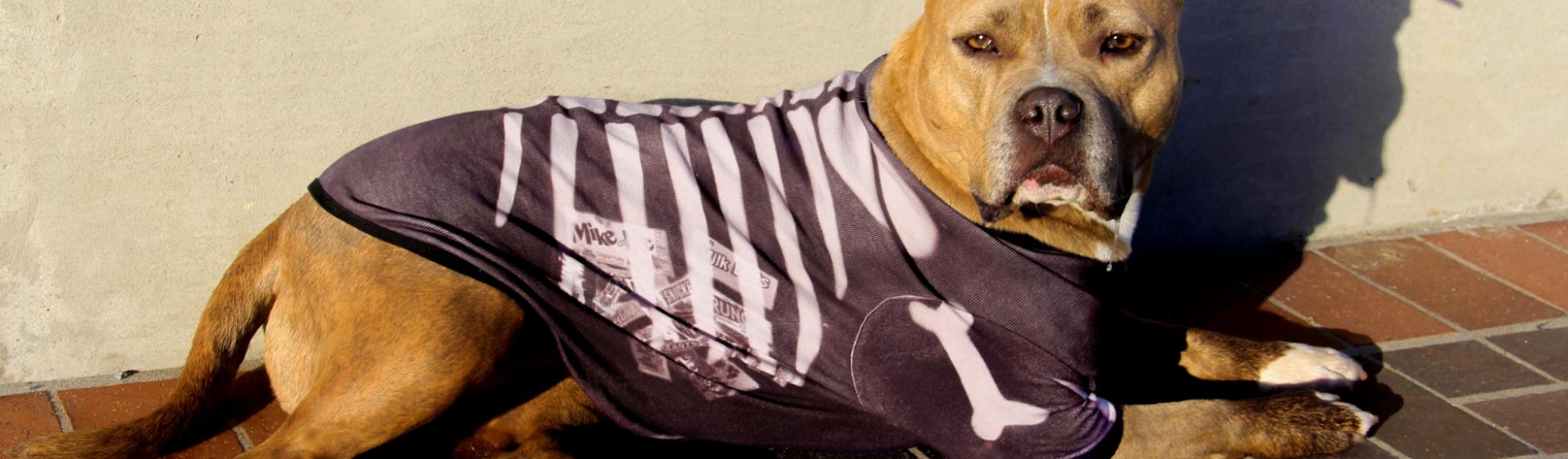 Pet Skeleton Halloween Costume Pet Skeleton Halloween Costume